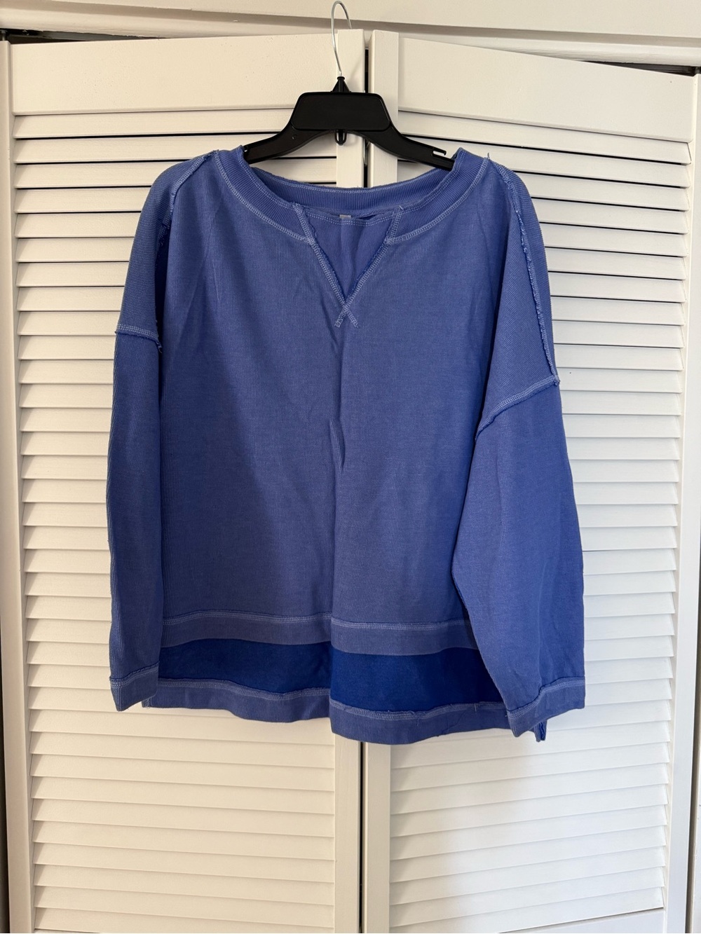 Free People Blue Pullover Sweatshirt